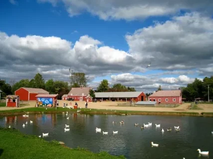 Farm with red buildings by a pond with ducks under a cloudy sky.