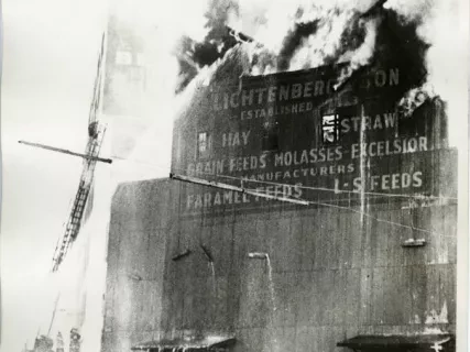 Print, Photographic - Lichtenberg & Son