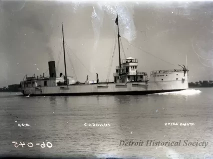 Negative, Glass-plate