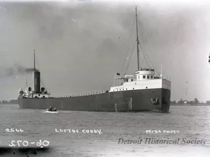 Negative, Glass-plate