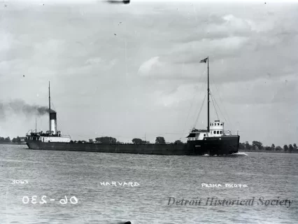 Negative, Glass-plate
