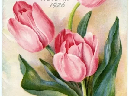 Catalog - Bulbs & Seeds Autumn 1926