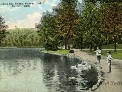 Postcard - Feeding the Swans, Palmer Park, Detroit, Mich.