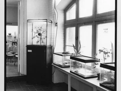 Print, Photographic - Animal Room - Children's Museum