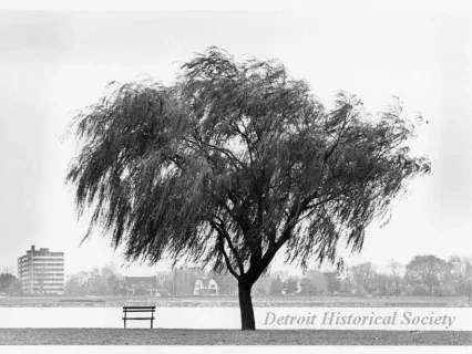 Print, Photographic - Belle Isle