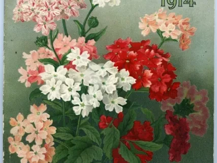 Catalog - Seed Annual, 1914