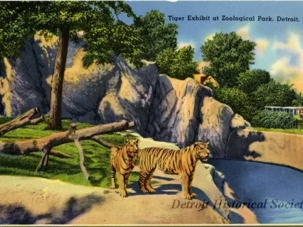 Postcard - Tiger Exhibit at Zoological Park, Detroit, Mich.