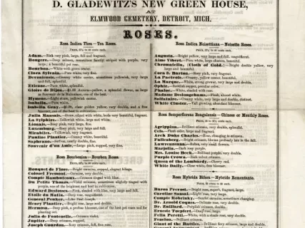 Catalog - Catalogue of Roses and Other Plants! From the Collection at D. Gladewitz's New Green House at Elmwood Cemetery, Detroit, Mich.
