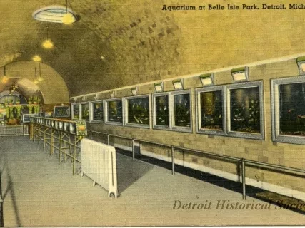 Postcard - Aquarium at Belle Isle Park, Detroit, Mich.