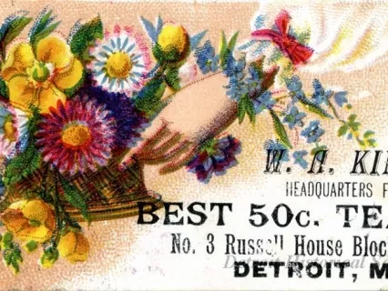 Card, Store - W. A. King, 
Headquarters for Best 50c. Teas