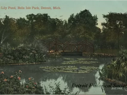 Postcard - The Lily Pond, Belle Isle Park, Detroit, Mich.