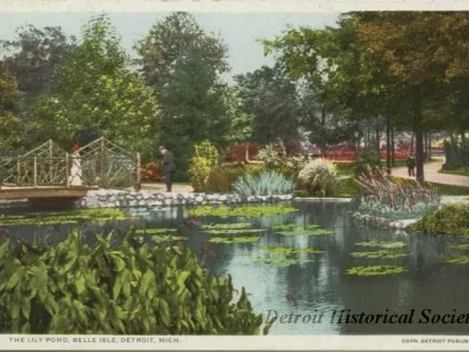 Postcard - The Lily Pond, Belle Isle, Detroit, Mich.