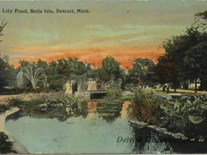 Postcard - Lily Pond, Belle Isle, Detroit, Mich.