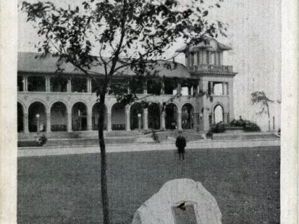 Postcard - G.A.R. Tree. Planted on Belle Isle, Detroit, Mich. Nov. 26th 1908. Casino in Background.