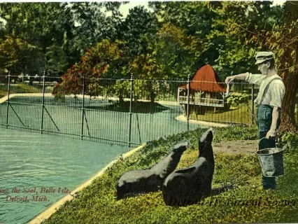Postcard - Feeding the Seal, Belle Isle, Detroit, Mich.
