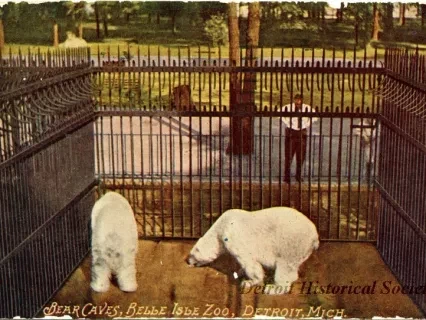 Postcard - Bear Caves, Belle Isle Zoo, Detroit, Mich.