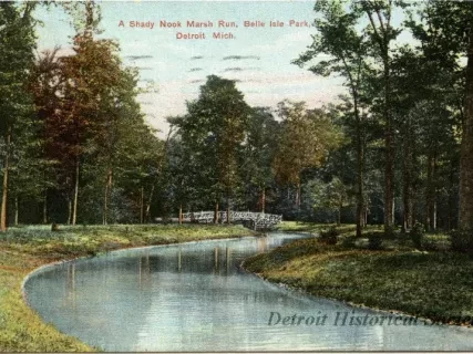 Postcard - A Shady Nook Marsh Run, Belle Isle Park, Detroit, Mich.