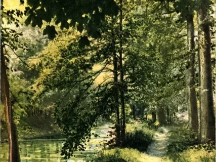 Report - 21st Annual