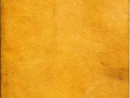 Booklet - Articles of A Treaty Made and Concluded at Saginaw, in the Territory of Michigan, between the United States of America, by their Commissioner, Lewis Cass, and the Chippewa Nation of Indians.