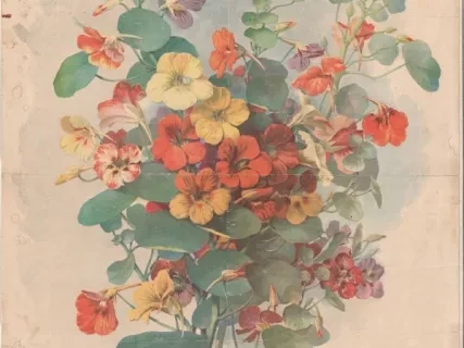 Poster - D.M Ferry & Co. Choice Flower Seeds