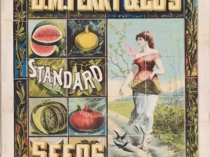 Poster - D. M. Ferry & Co.'s Standard Seeds
