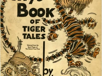 Book - Iffy's Book of Tiger Tales