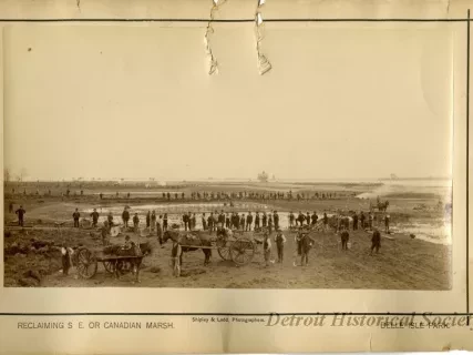 Print, Photographic - Reclaiming SE or Canadian Marsh