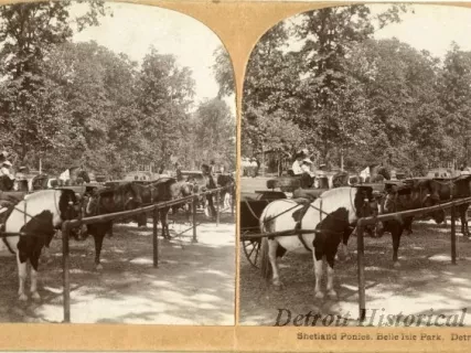 Stereograph