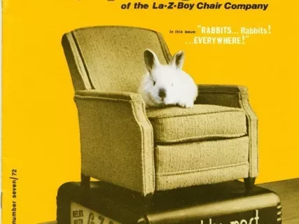 Magazine - La-Z-News