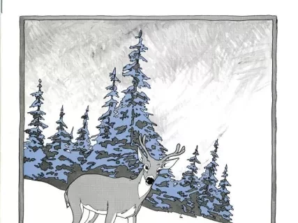 Newsletter - Monroe La-Z-News