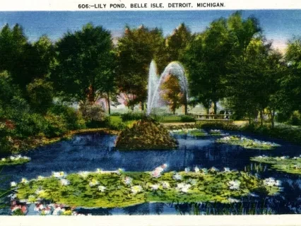 Postcard - 606 - Lily Pond, Belle Isle, Detroit, Michigan