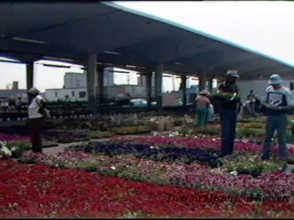 U-Matic - E. Mkt. Flower Day 6-14-83