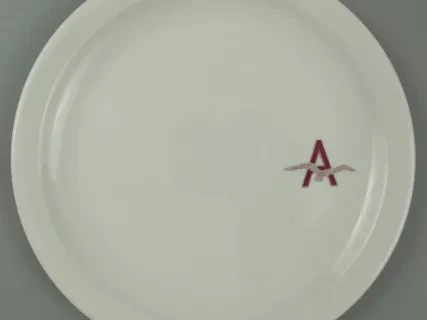 Plate, Dinner