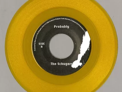 Record, Phonograph - Probably/Dumb Girls