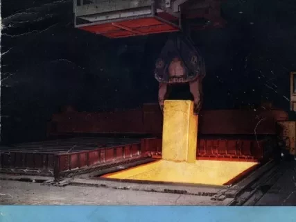 Report, Annual - McLouth Steel Corporation 
Annual Report for the Year Ended December 31, 1950