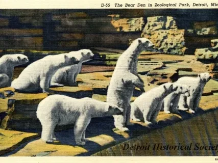 Postcard - D-55 The Bear Den in Zoological Park, Detroit, Mich.