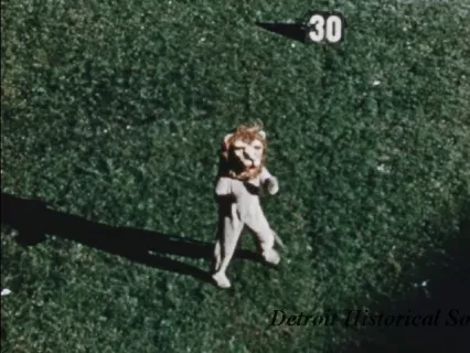Film, Motion Picture - Detroit Lions 1955 Football Highlights