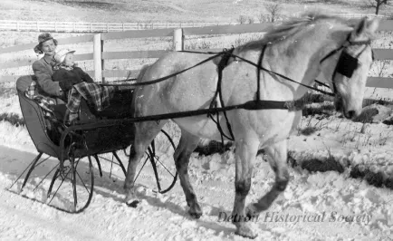 Sleigh - 1890s  C.R. Wilson Co. Sleigh