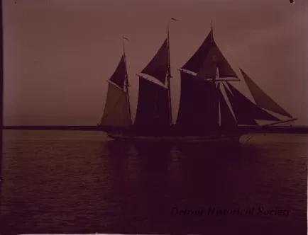 Negative, Glass-plate