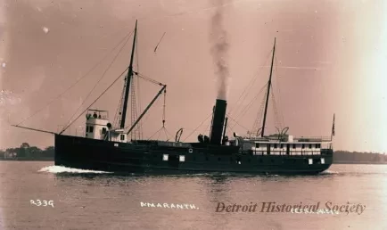 Negative, Glass-plate