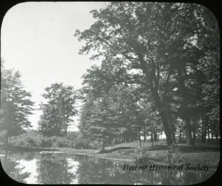 Transparency, Lantern-slide - Cattle Wallow - Palmer Park