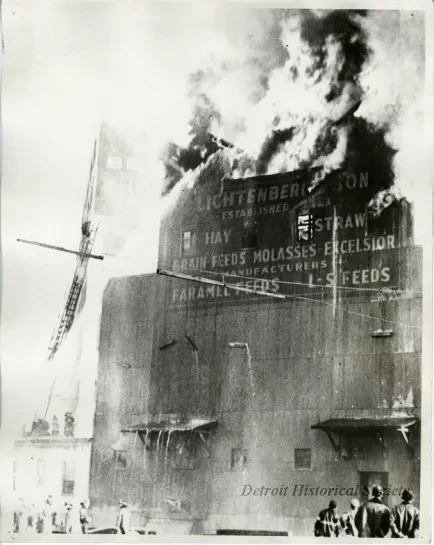 Print, Photographic - Lichtenberg & Son