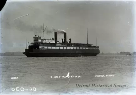 Negative, Glass-plate