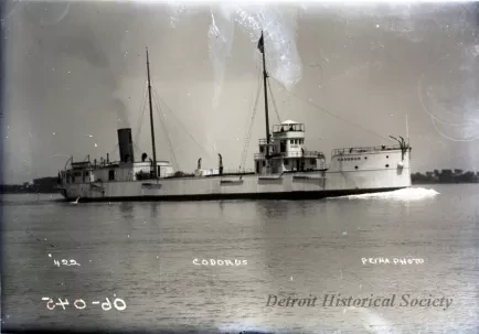 Negative, Glass-plate