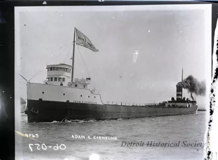 Negative, Glass-plate