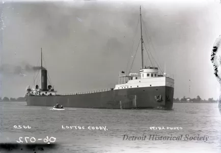 Negative, Glass-plate