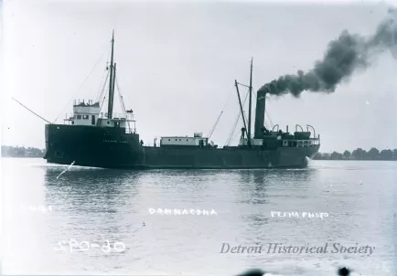 Negative, Glass-plate