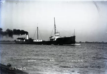 Negative, Glass-plate