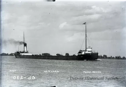 Negative, Glass-plate