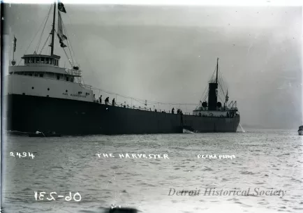 Negative, Glass-plate
